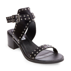 GILA BLACK MULTI - SM REBOOTED