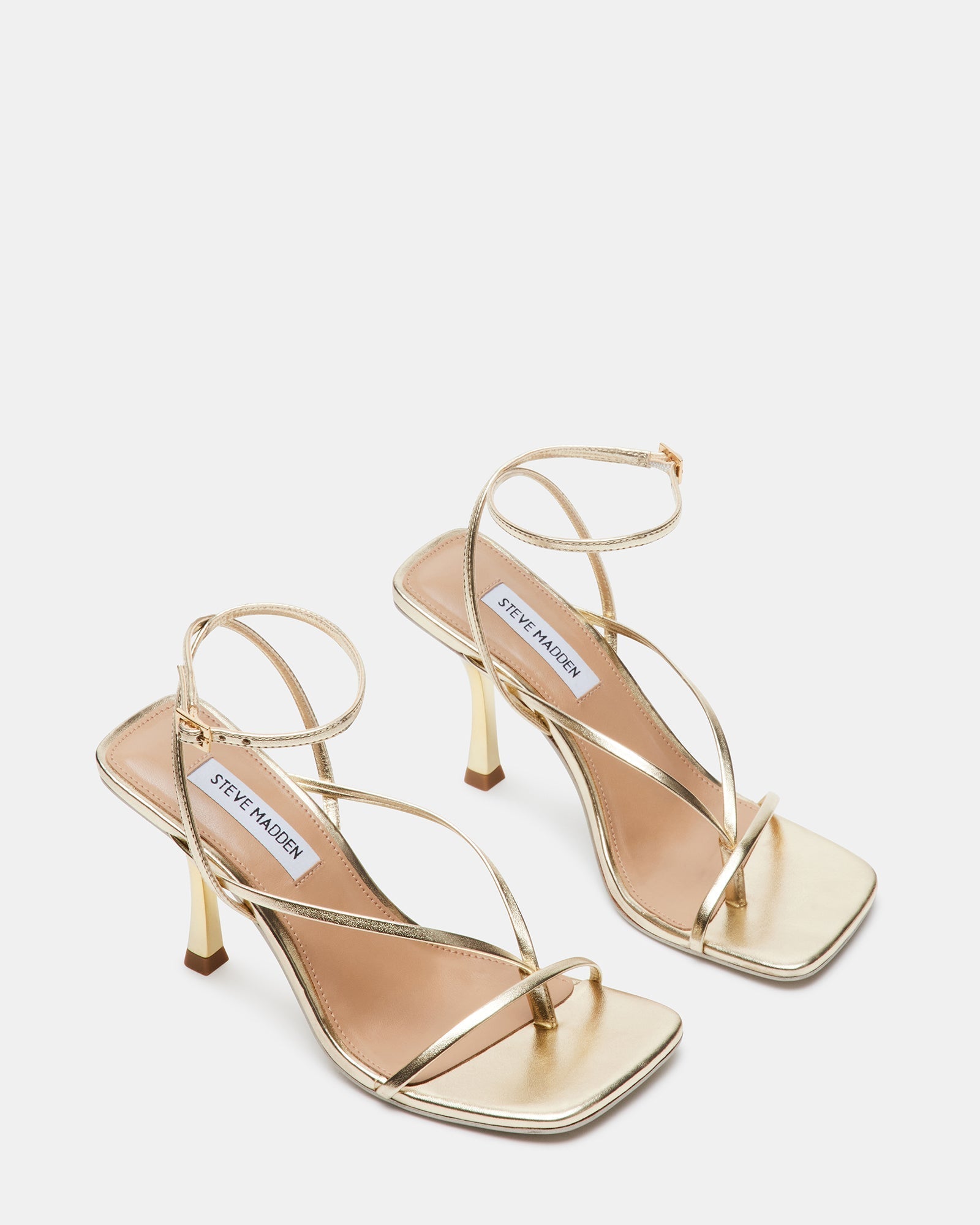 ANNIE CHAMPAGNE - SM REBOOTED
