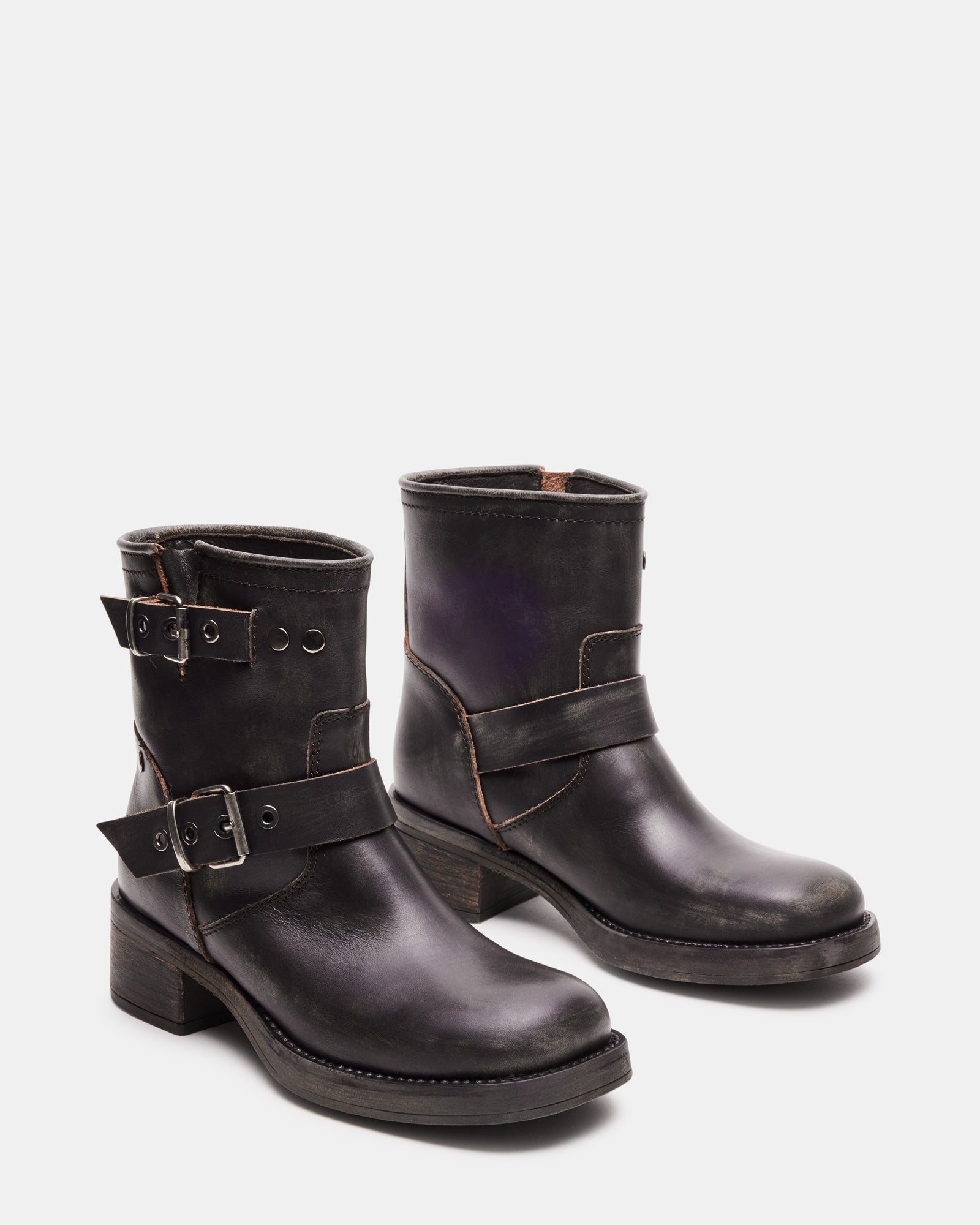 RAMPANT BROWN DISTRESSED - SM REBOOTED