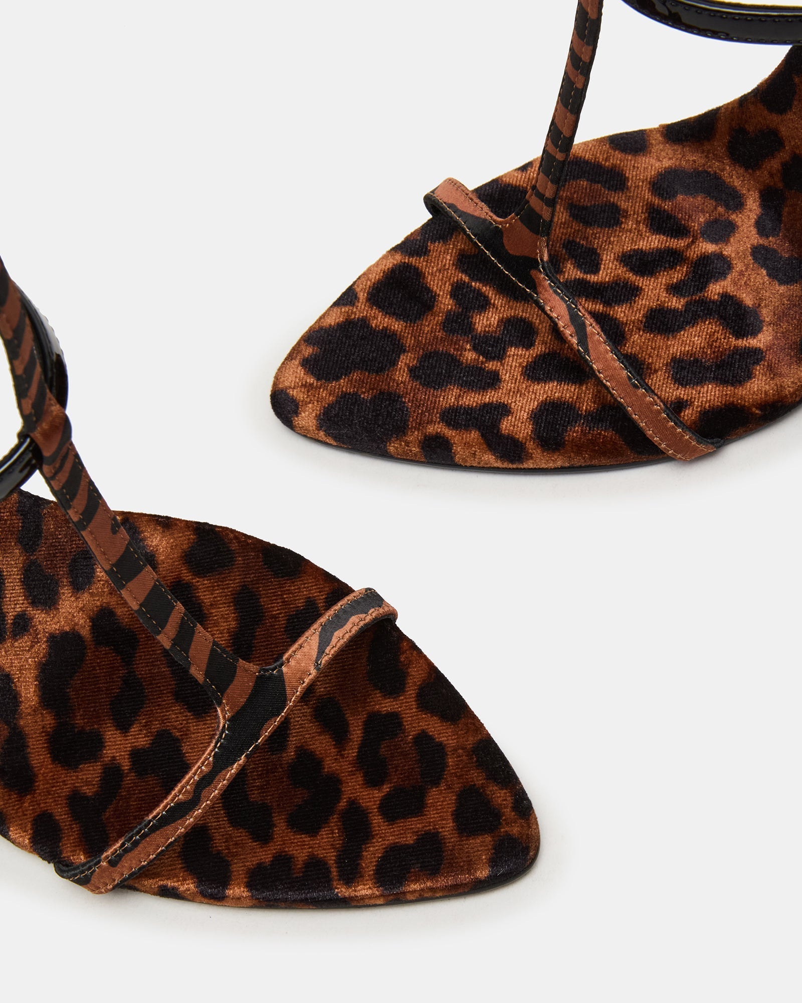 SALMA ANIMAL MULTI