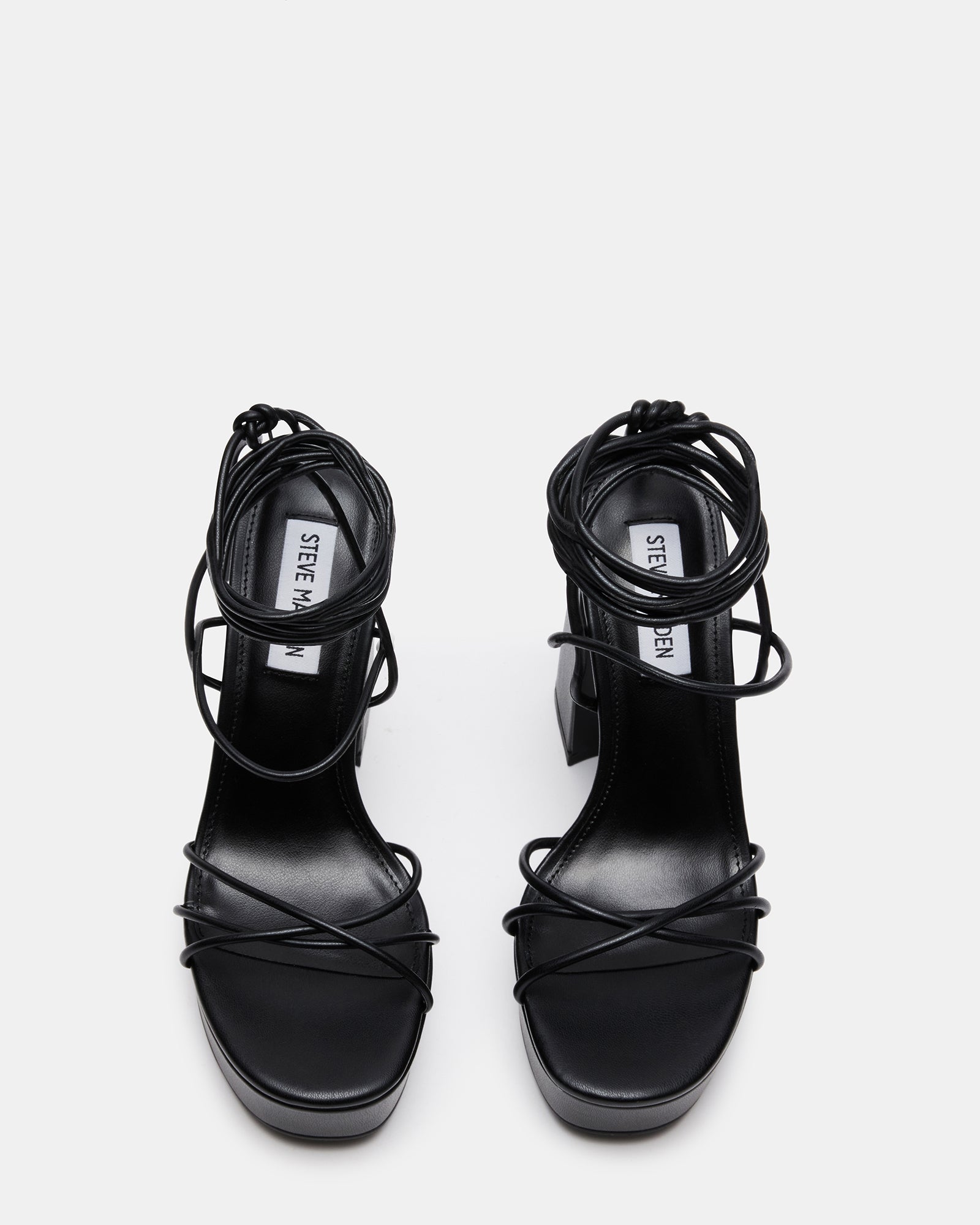 TALLULAH BLACK - SM REBOOTED