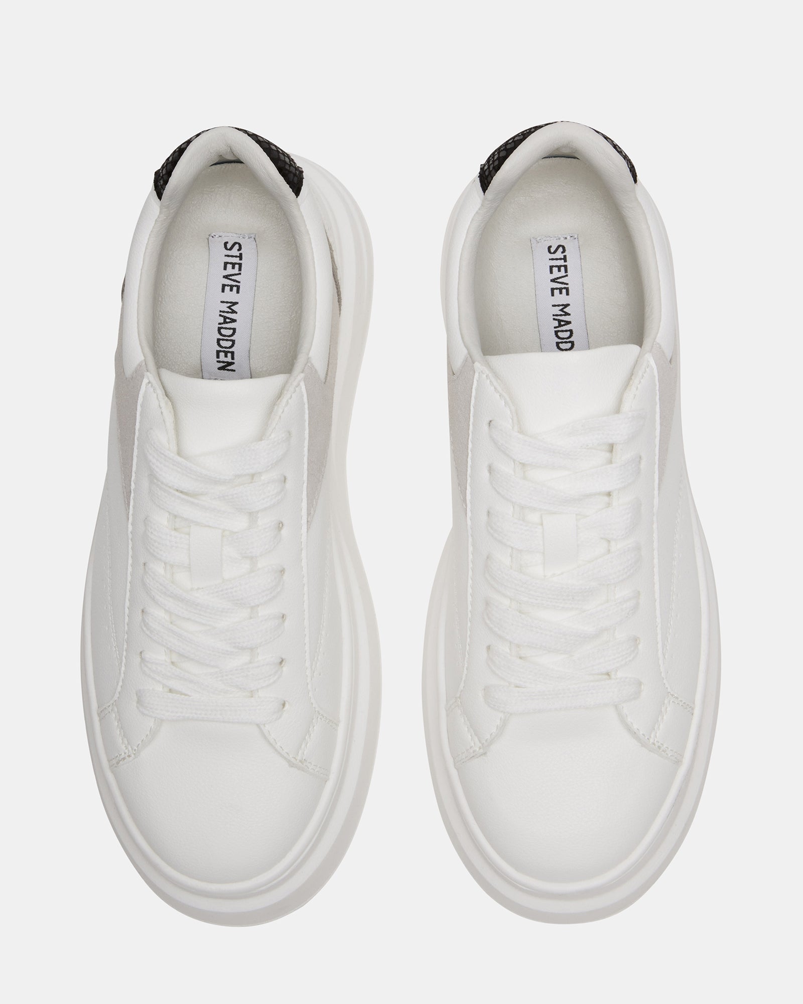 VENTURE WHITE - SM REBOOTED