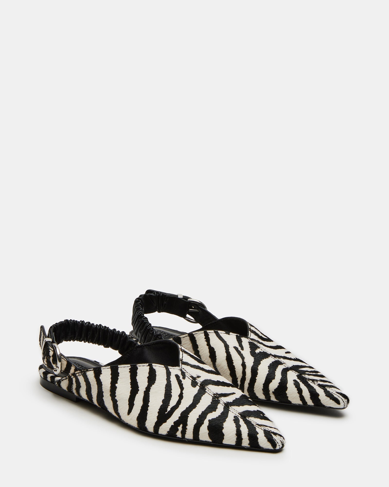 ZELLA ZEBRA - SM REBOOTED